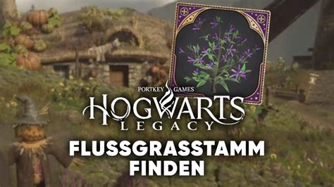 Hogwarts Legacy Flussgras finden und Züchten